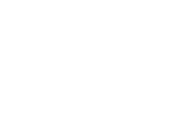 Veroface logo